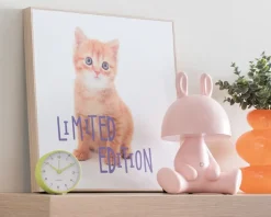 Billede kitten - Limited edition