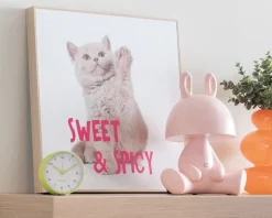 Billede kitten - Sweet & spicy