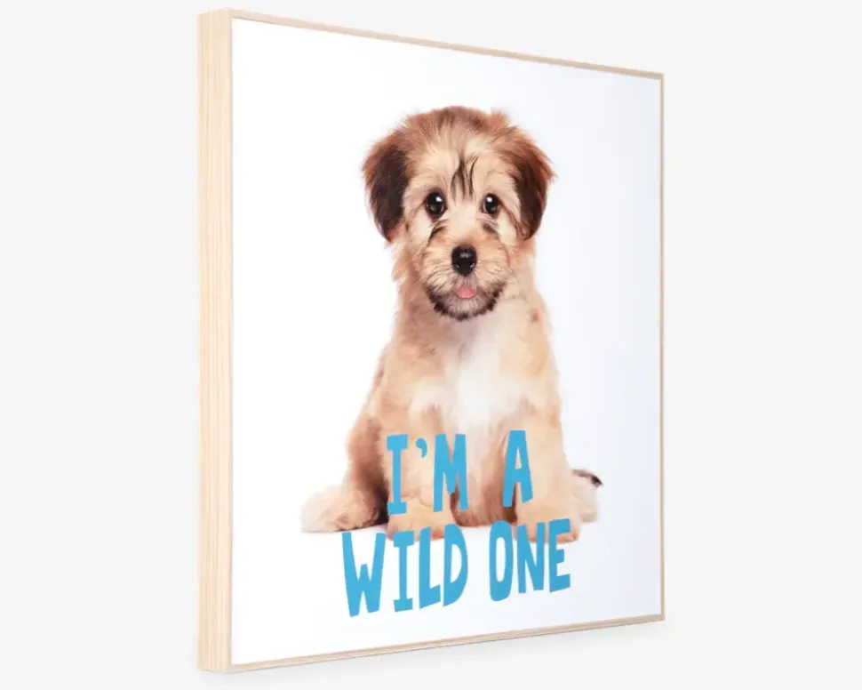 Billede puppy - I am a wild one