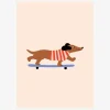 Dachshund on skateboard 30X40 cm