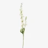 Delphinium stilk ass H.85 cm