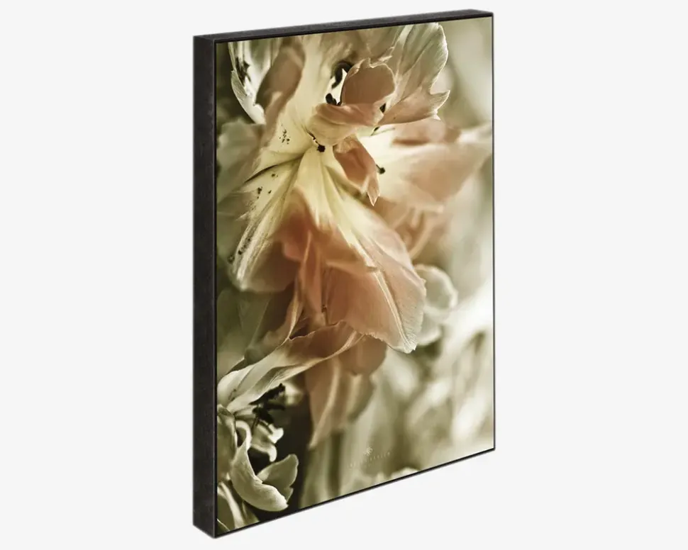 Klods Fading Scarlet 15x21 cm