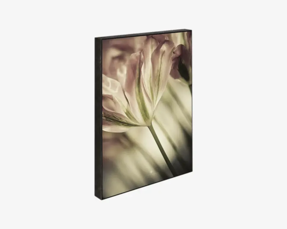 Klods Sence Of A Tulip 15x21 cm