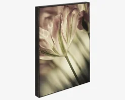 Klods Sence Of A Tulip 15x21 cm