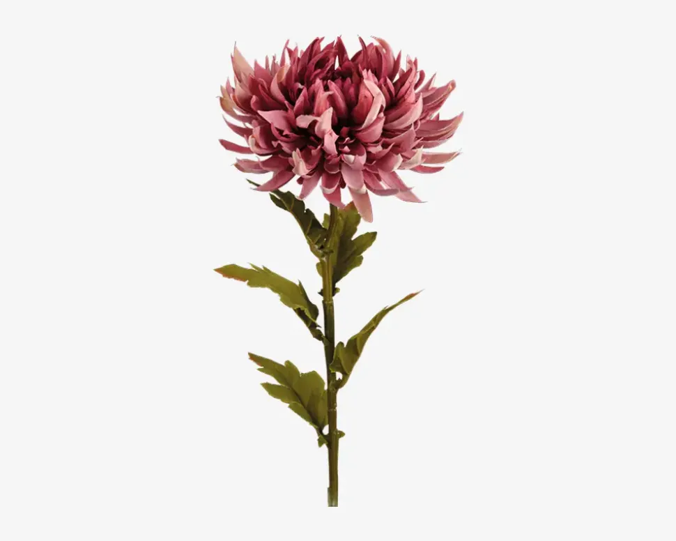 Krysantemum stilk ass 18x18x62 cm