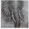 Maleri elefant grå 120x120 cm