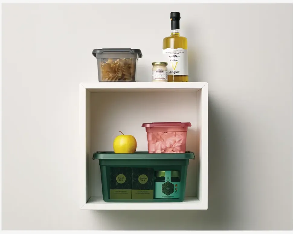 Opbevaringsboks Base 4,5 L Pine