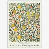 Plakat Fruit Or Pomegranate