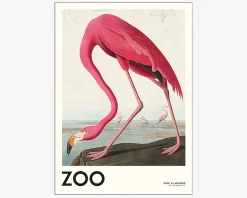 Plakat Pink Flamingo