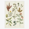 Plakat Victorian Garden III A5