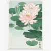 Plakat Waterlilies Japansk