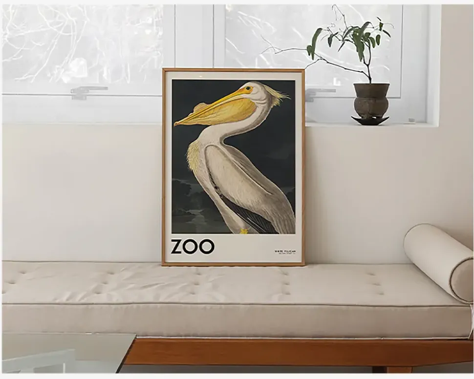 Plakat White Pelican