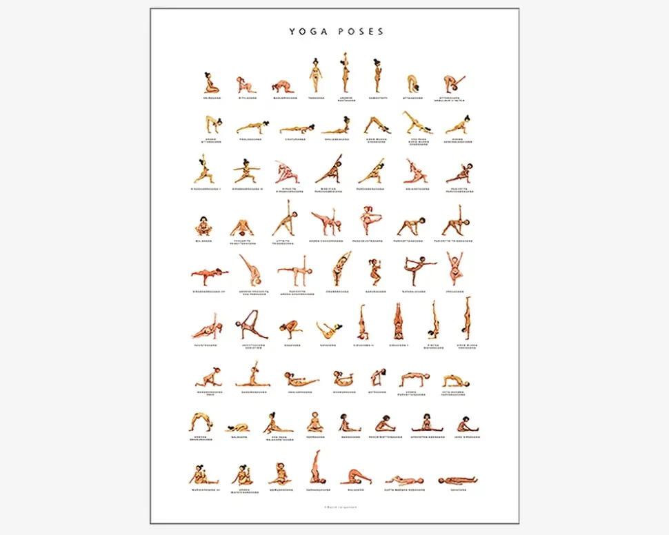 Plakat Yoga Poses