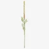 Stilk Ambrosia Hvid/Grøn H.37cm