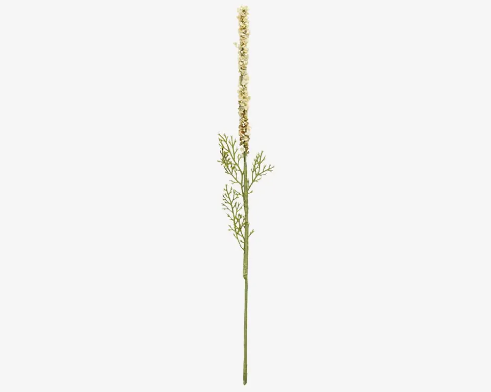 Stilk Ambrosia Hvid/Grøn H.37cm