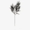 Stilk Asparagus sort H.86,4 cm