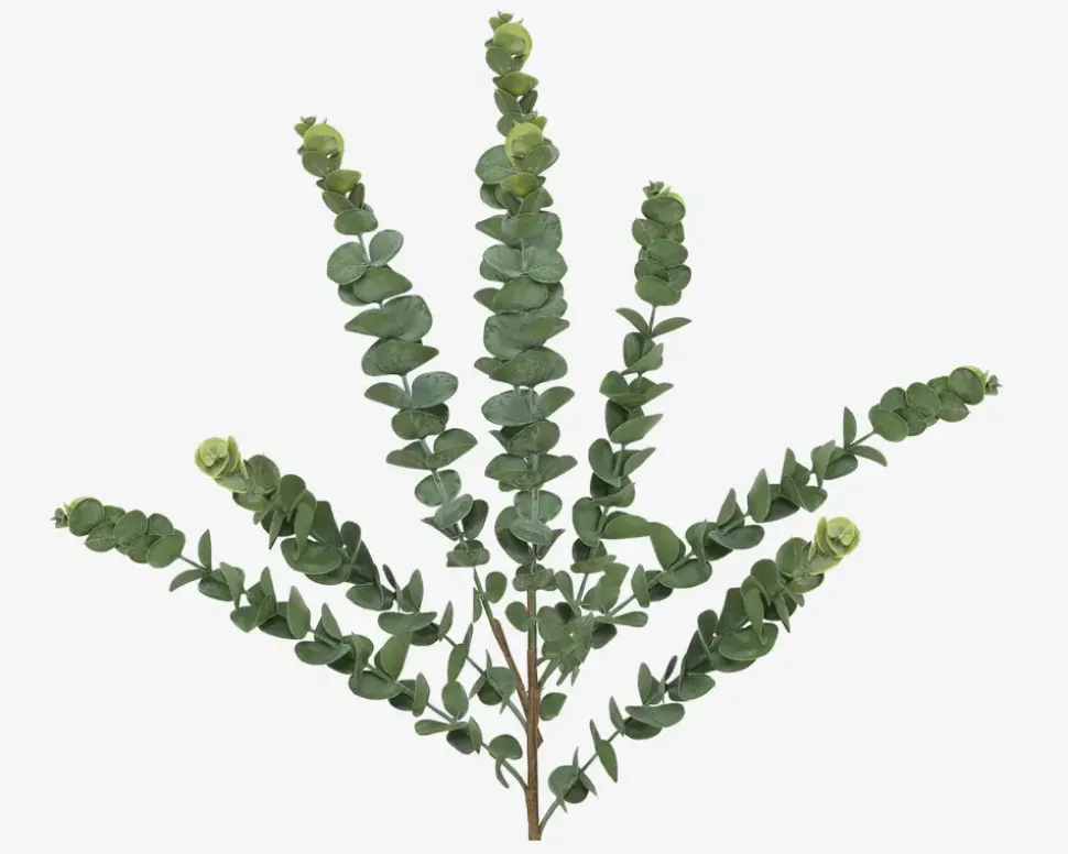 Stilk Eucalyptus Grøn H.70 cm