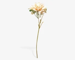 Stilk Georgine Creme H.45 cm