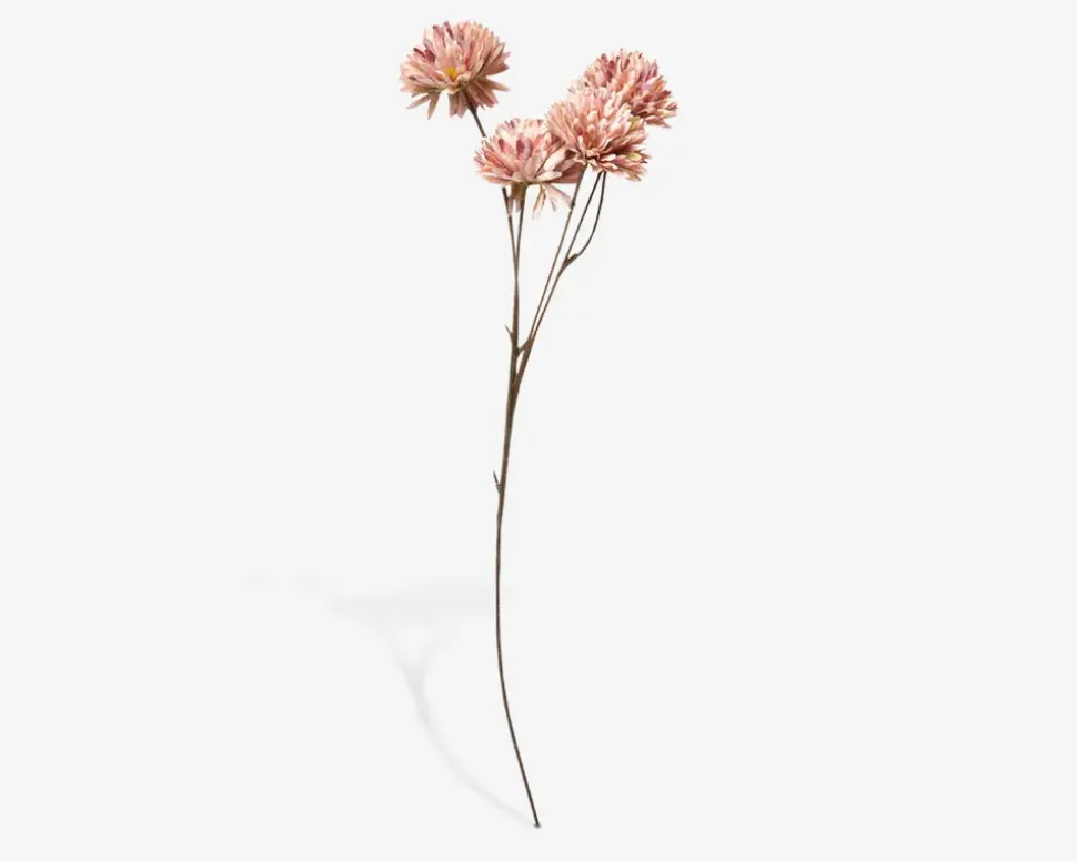 Stilk Krysantemum Lyserød H.53 cm