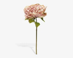 Stilk Pæon Rosa H.30 cm