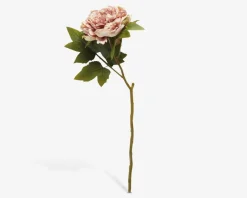 Stilk Pæon Rosa H.46 cm