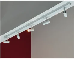 Væg-/loftlampe Omari 5 Hvid